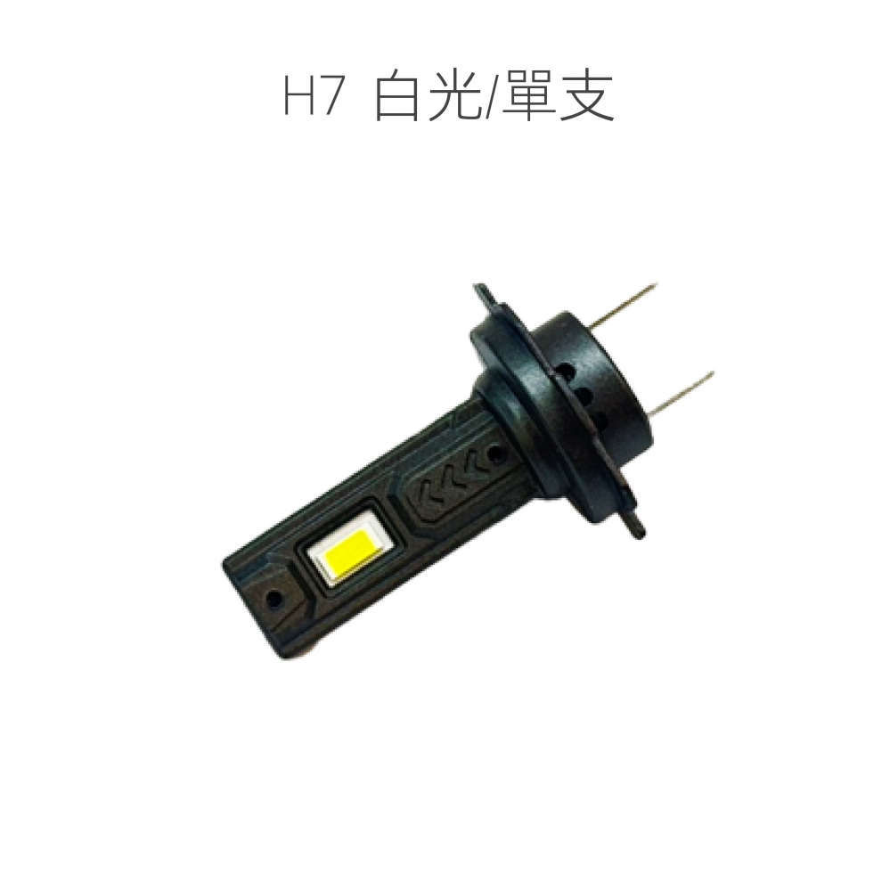 S20179005500096.jpg